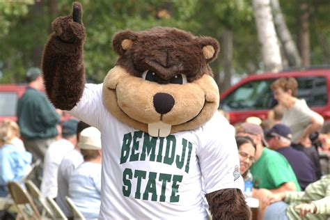 The official Men's Ice Hockey Coach List for the Bemidji State University. . Bsu beavers